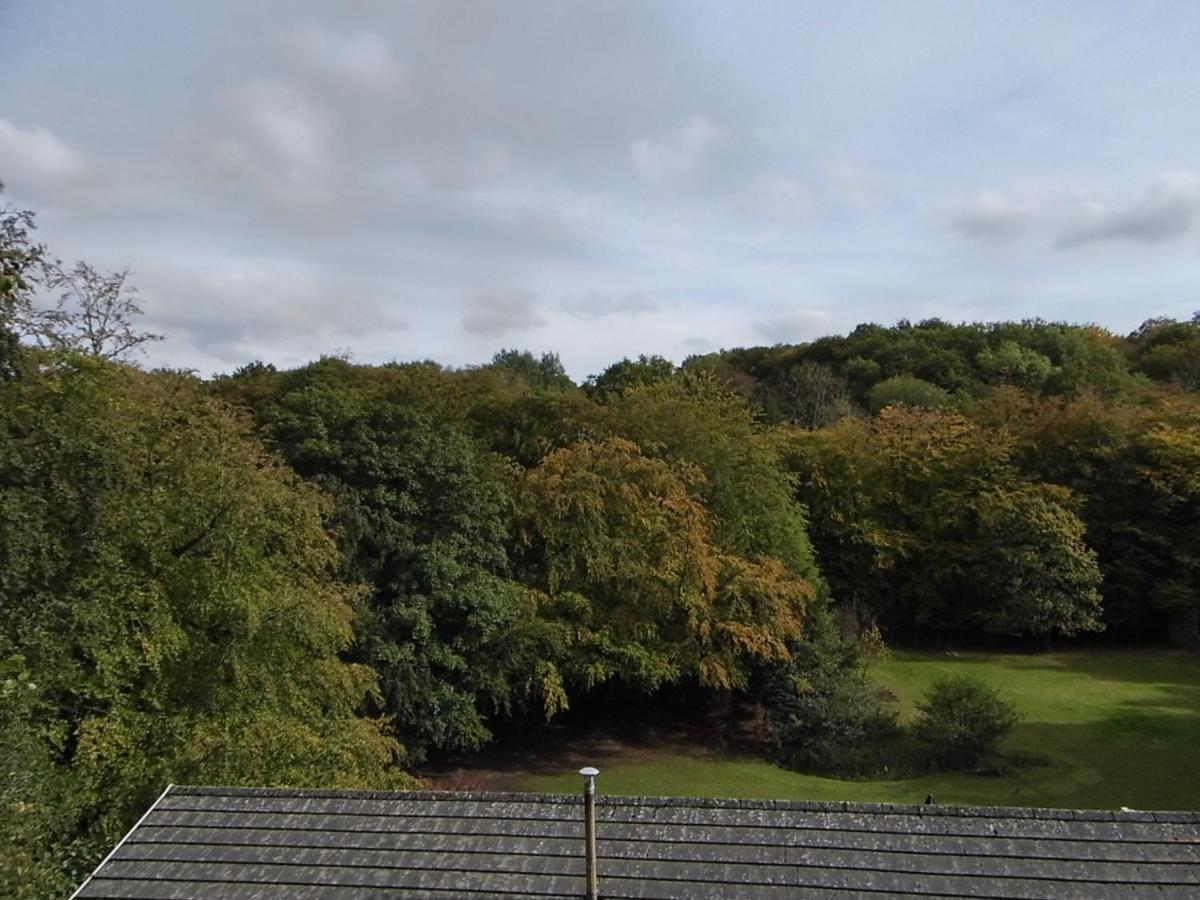 The Mill At Glynhir Bed and Breakfast Ammanford Exteriör bild